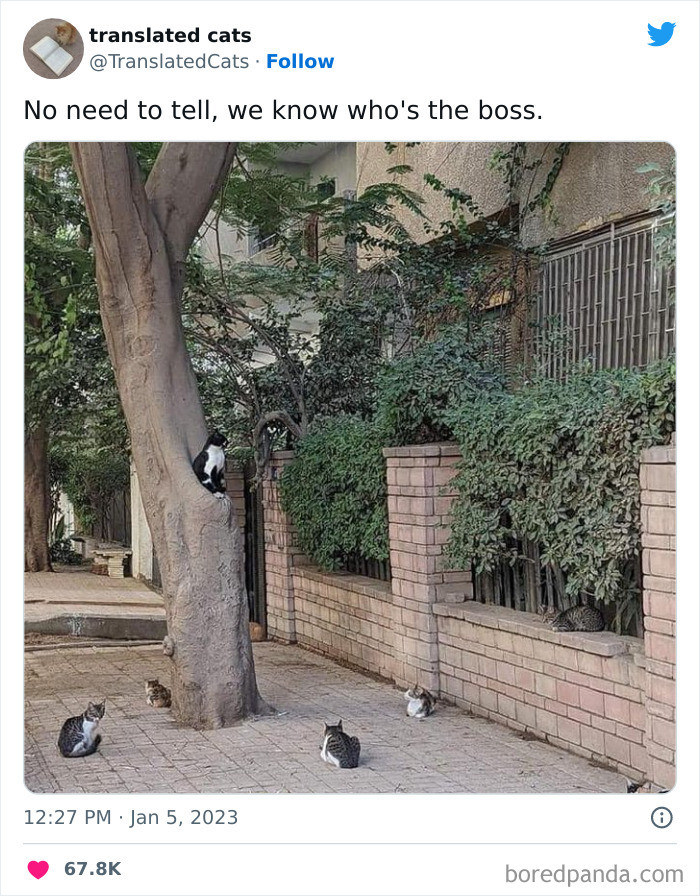 31. Who is the boss?