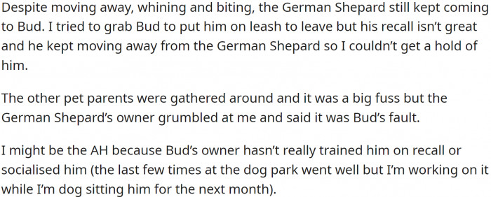 Today, OP and Bud were at the dog park (no leash requirement) when a young German Shepherd and another group of dogs came in.