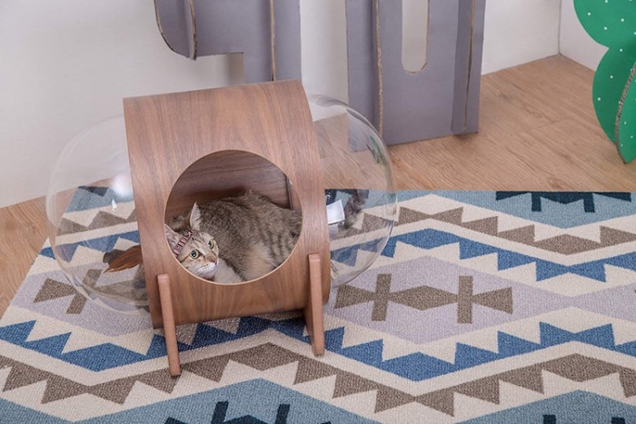 The furniture line features three models, and this is Alpha, which is meant to sit on the floor
