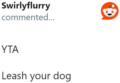 The OP should just follow everyone's advice and leash his dog.