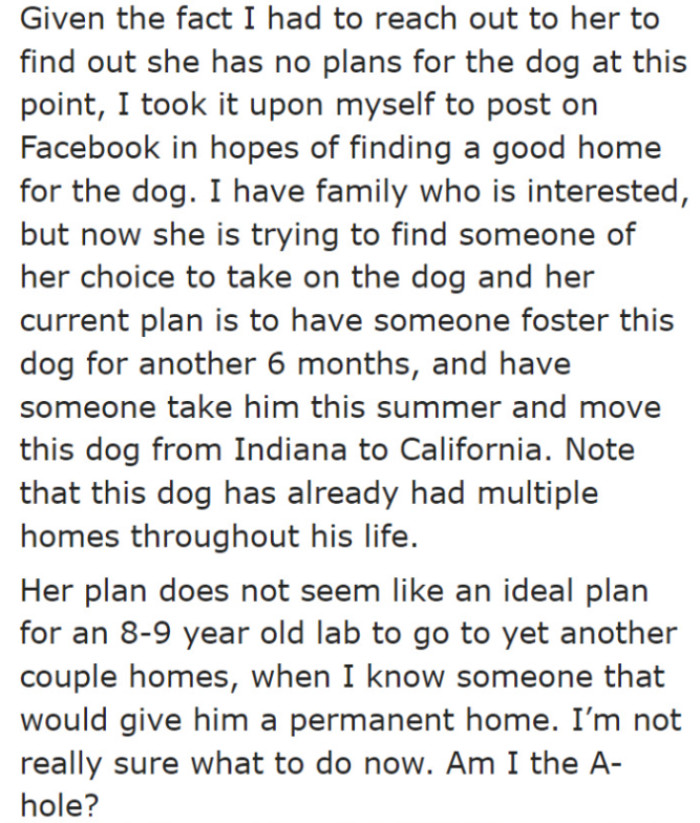 What the OP's friend plans to do will be stressful for the old Lab, so she decided to look for the ideal owner.