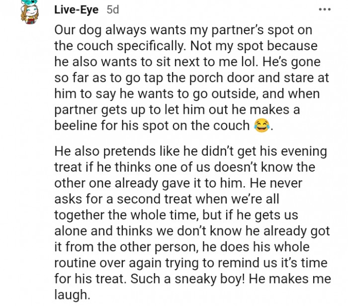 10. This dog does a bunch of things