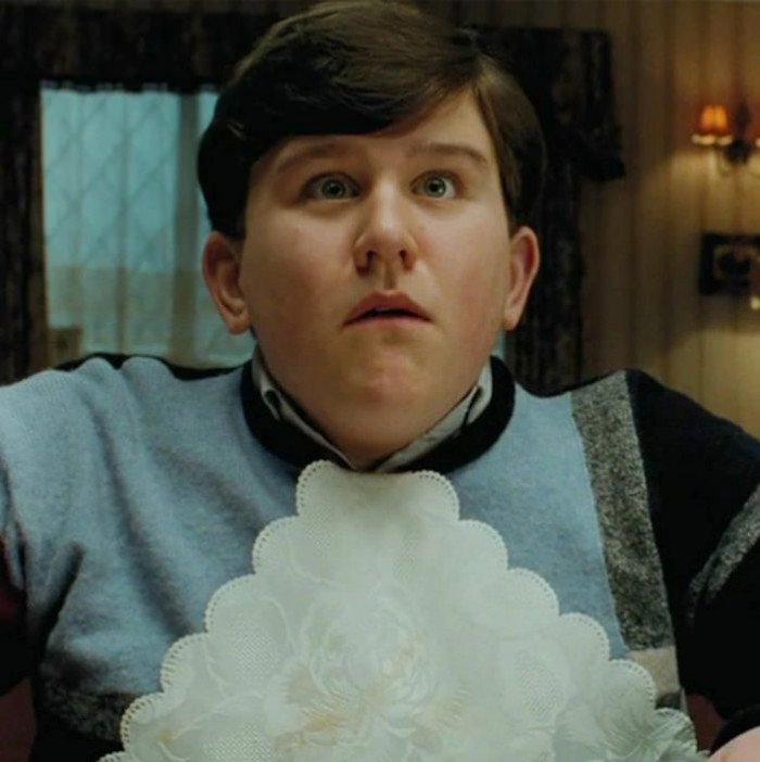 Dudley Dursley in the film