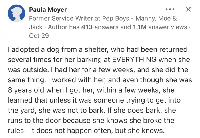 This user's dog would bark at every single thing outside.