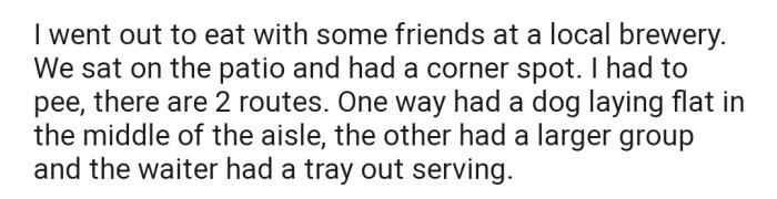 OP went out to eat with some friends at a local brewery. They got pressed and were looking for a way out, but both routes seemed to be blocked by dogs.