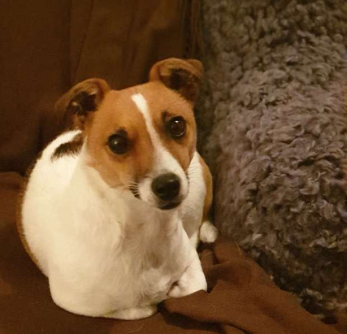 Mitzi had braved three days alone in the foxhole