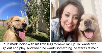 This Woman Woke Up To Find Her Angry Dog Staring Her Down And It's Pawsitively Hilarious