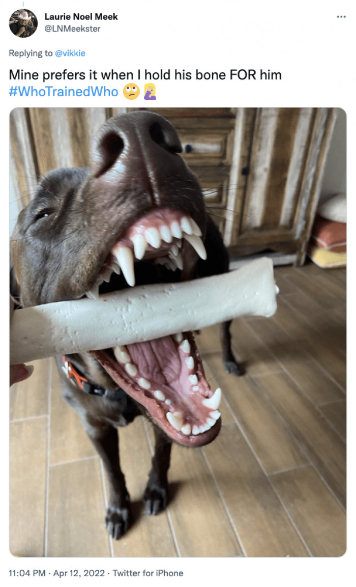 20. Mine prefers I hold his bone