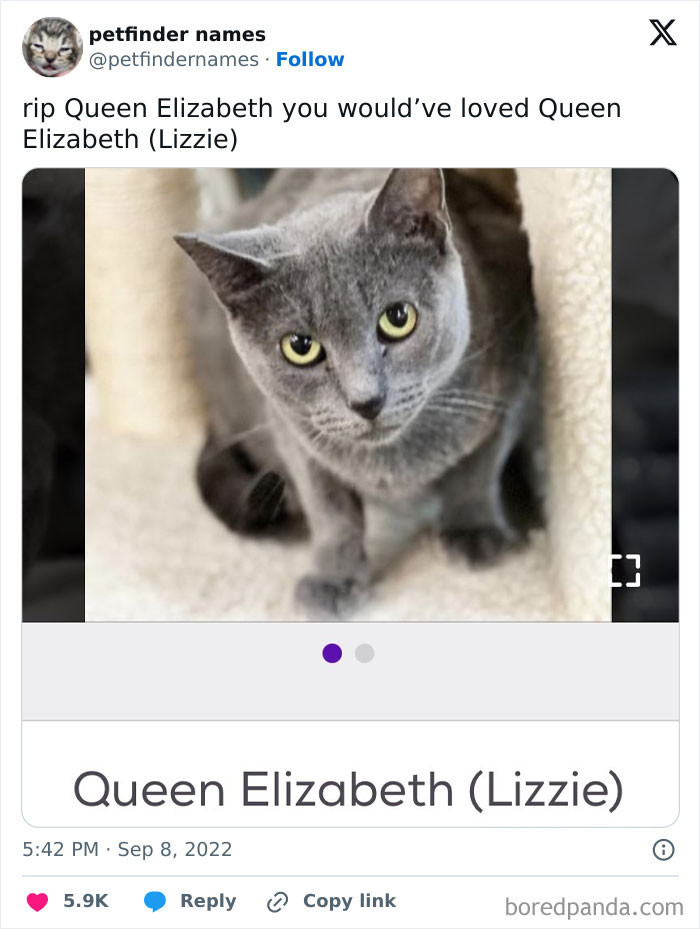 Queen Elizabeth (Lizzie)