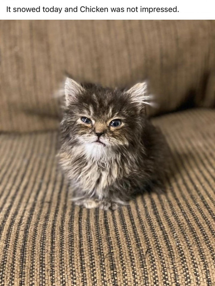 16. Someone Doesn't Like Snow...