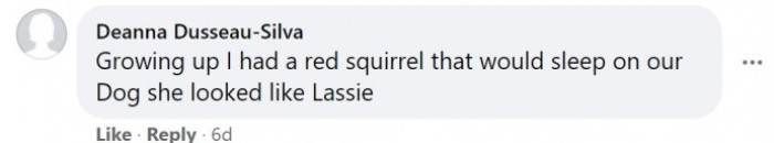 Having a squirrel that would sleep on their dog