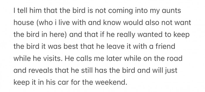 The boyfriend came up with a new plan, but OP didn't approve of it.