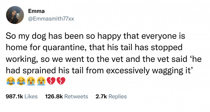 14. This doggo who got an overdose of love and attention.