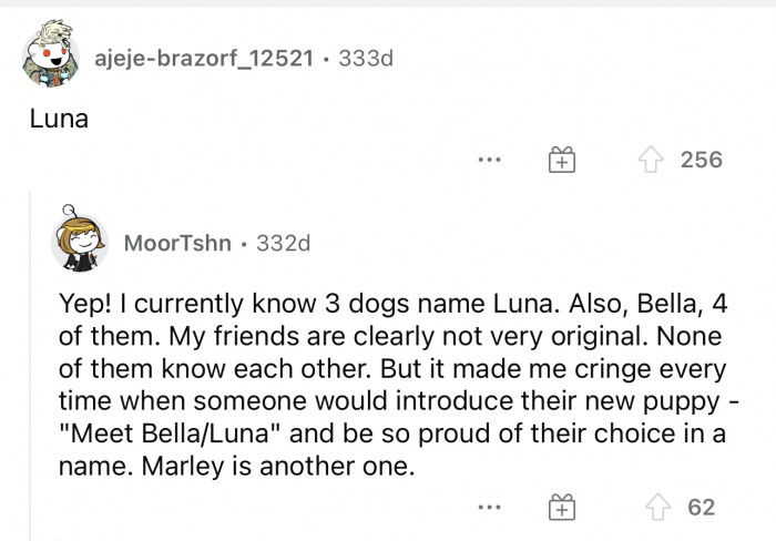 I have known so many dogs named Luna that I'm sure this is the most common dog name ever.