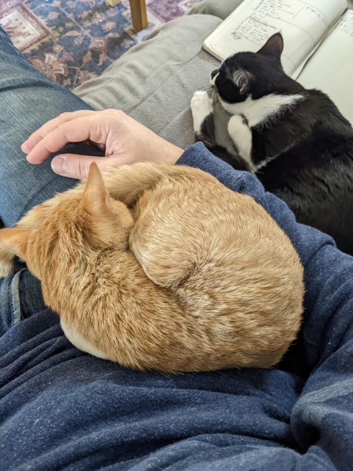 He slept a lot that first day