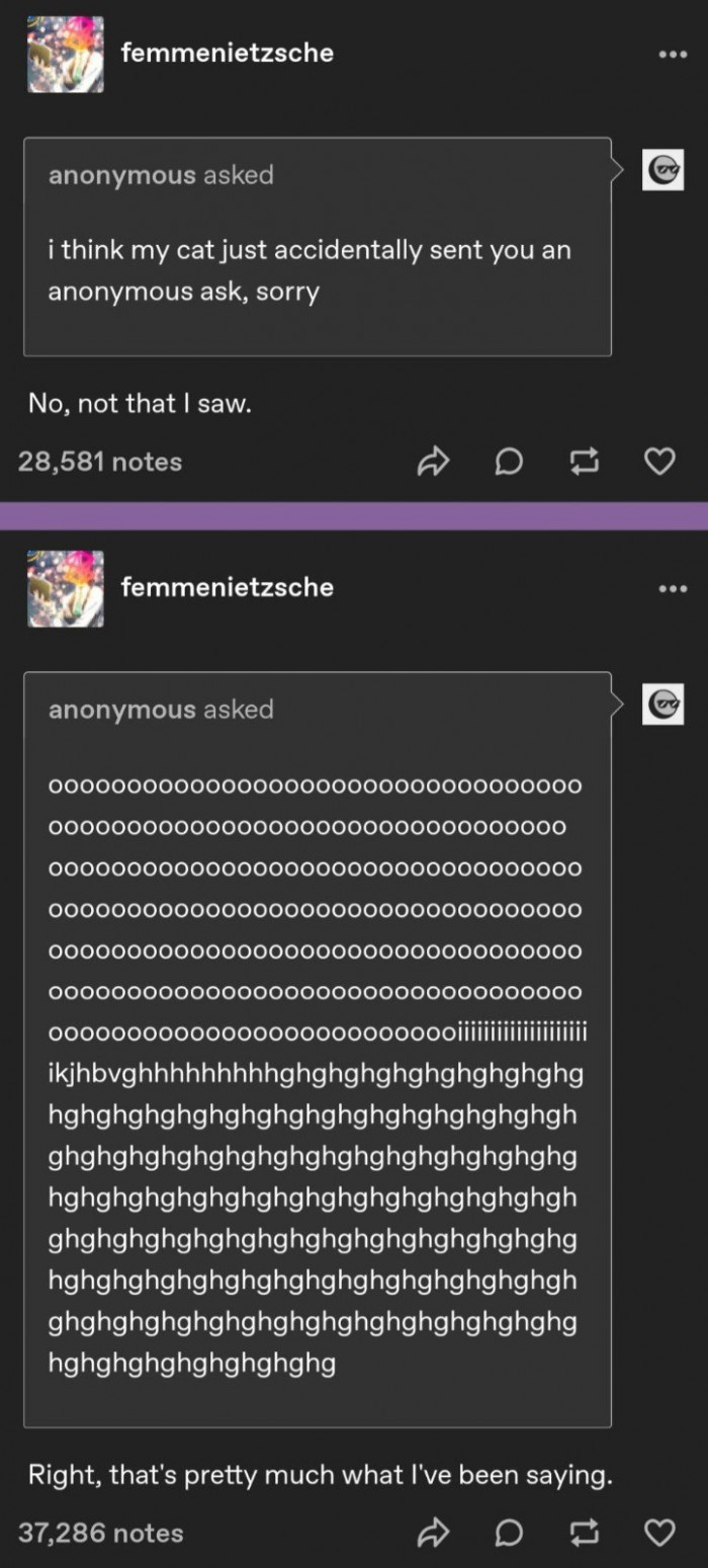 4. Challenge: Find out what the cat is trying to ask.