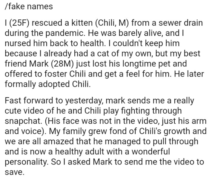 OP's Best Friend Just Lost His Longtime Pet and Offered to Foster the Cat to Get a Feel for Him