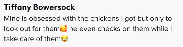 Mine checks on my chickens