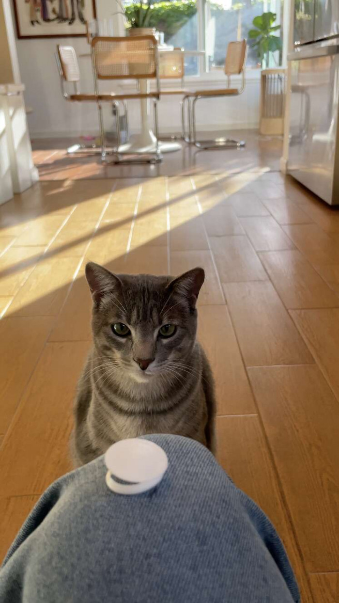 Freshness seals just aren’t Zero's thing, and watching Ollie’s obsession grow has only caused him more confusion