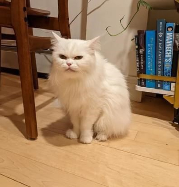 10. I'm just here minding my business