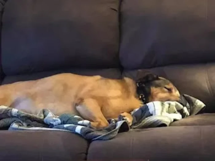 Higgins now enjoys the simple comforts of life