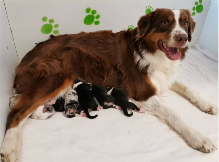 23. Those wittle toe beans