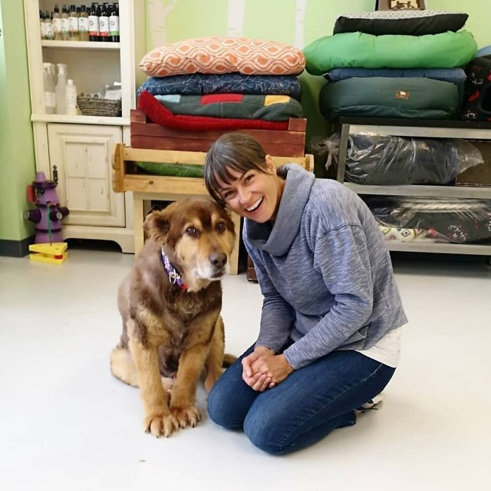 7. “When I Adopted 14-Year-Old Francis Last Year I Was Told We Would Only Have 4-6 Weeks Together Because Of His Arthritis And Poor Mobility. Well, We Celebrated Our One Year Anniversary Today”