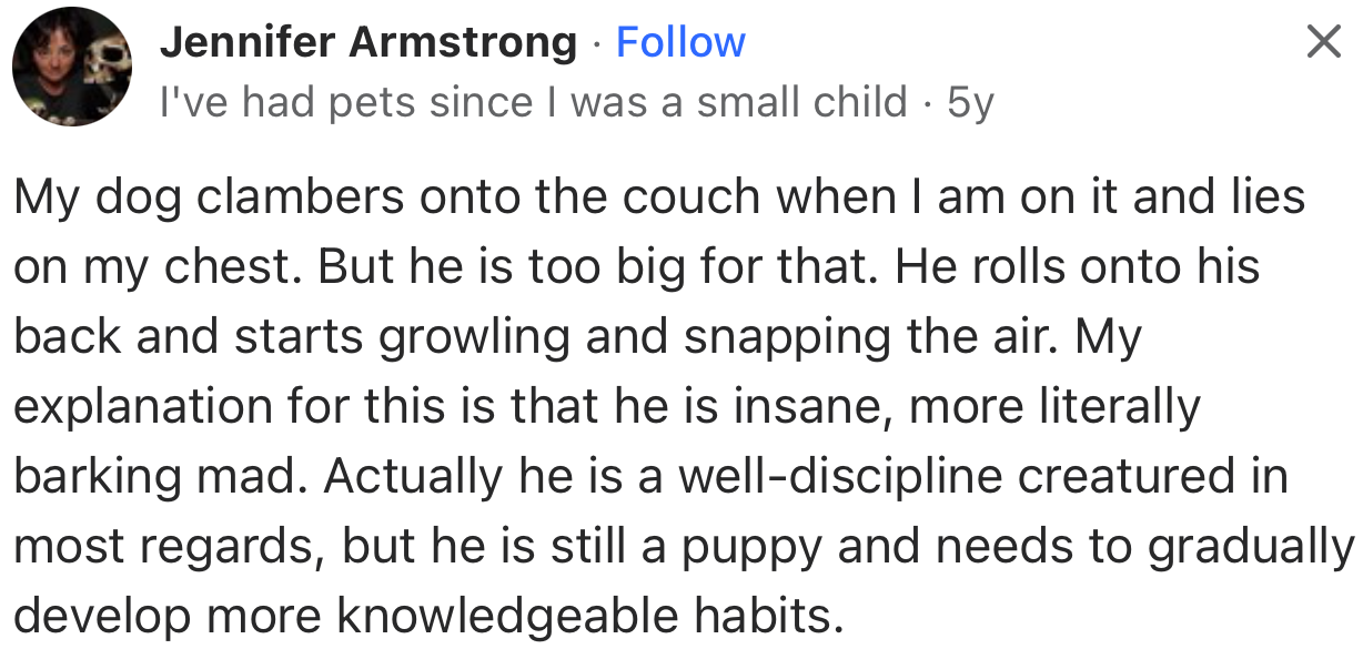 According to this user, their dog lays on their chest as well, but with a little drama to go with it