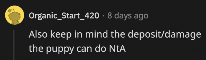 You can bid your security deposit goodbye the moment you bring an energetic puppy home.