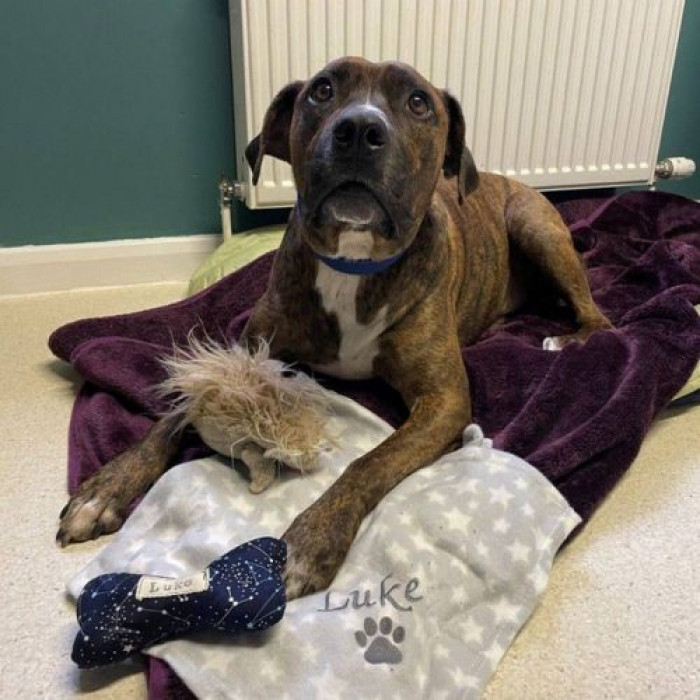 Luke’s adoptive parents, Karl and Jill Kendrick, showed a great deal of interest in him