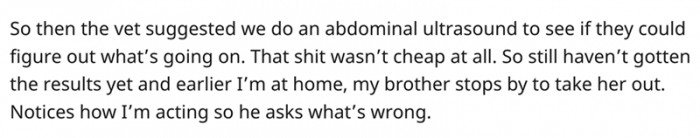 The Trip to the Vet's Wasn't Cheap at All