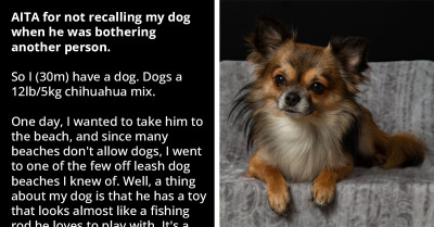Redditor Gets Slammed For Refusing To Recall His Dog Who Was Bothering Another Person At The Beach