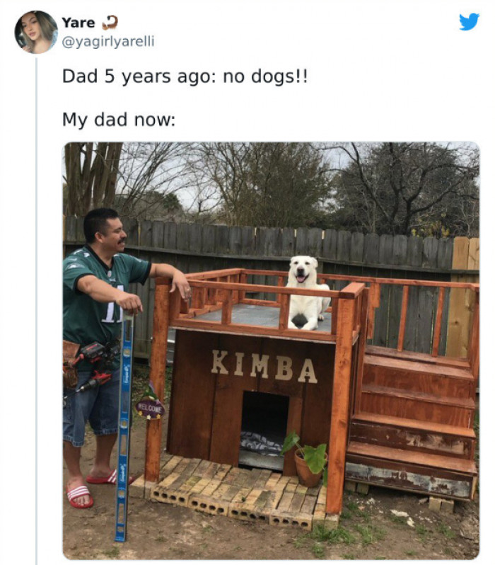 20. Doggo melts the dad's cold heart.