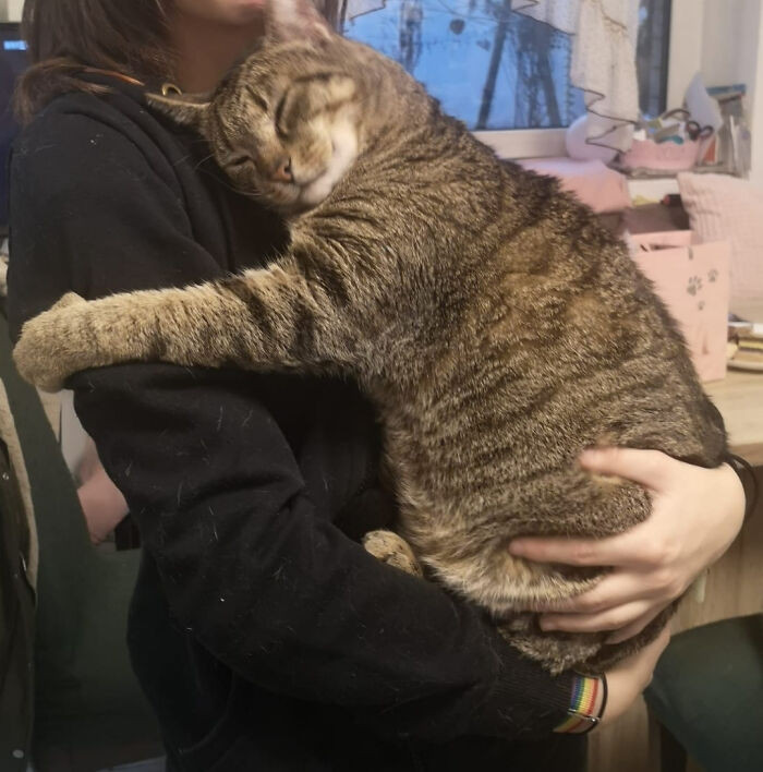 43. My Aunt's Cat Every Time I Pick Him Up