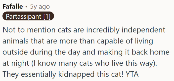 "They essentially kidnapped this cat."