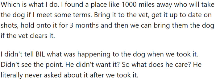 OP found a place for the dog