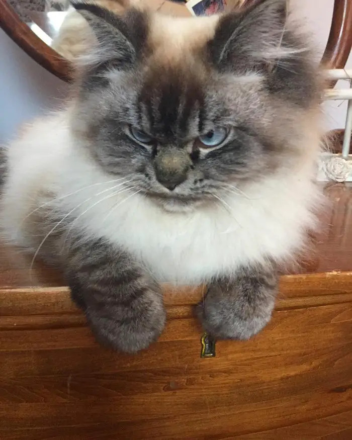 Yes, what can I do for you now?