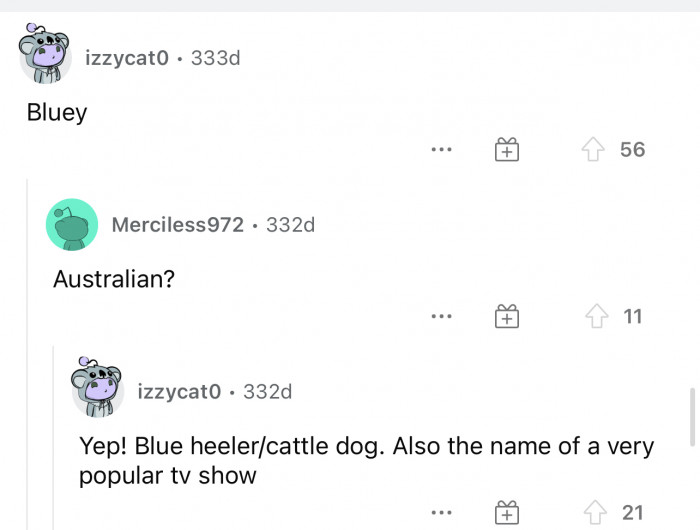 Bluey is a cute name, and I've seen the TV show, so I can agree it is a good one.