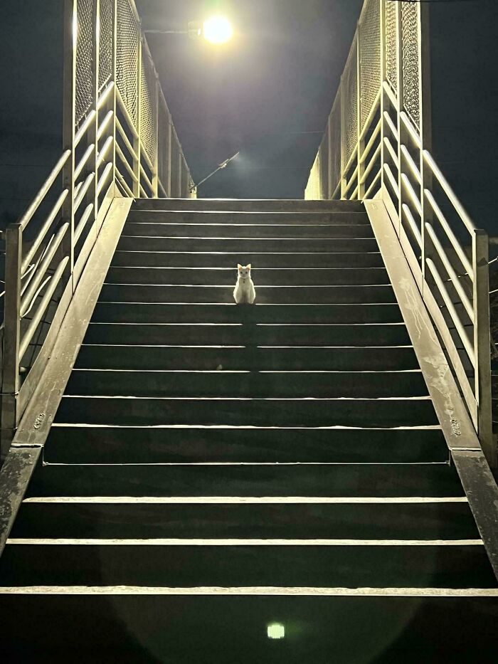 53. He’s staring at me like I’m the last snack on Earth.