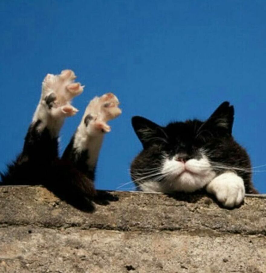 Living that rooftop spa life.