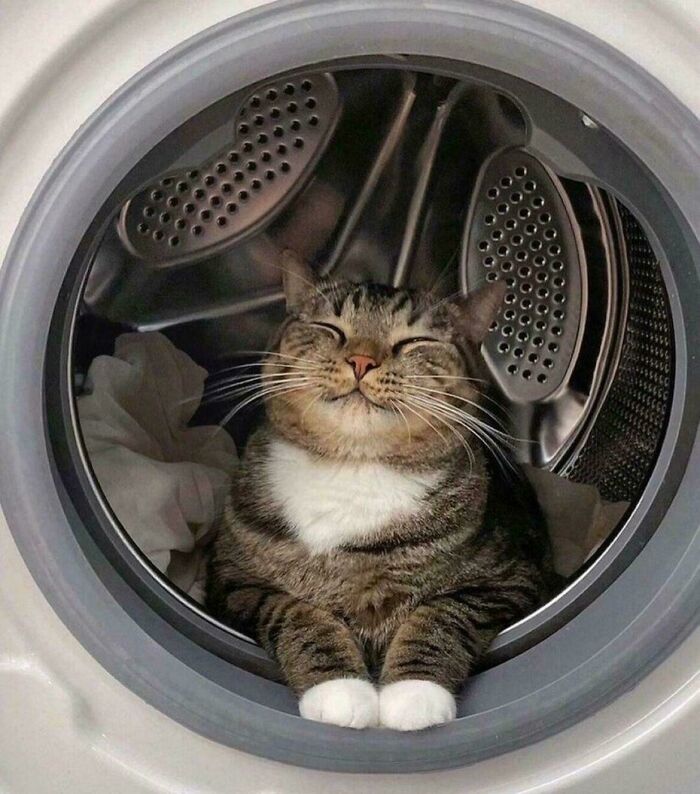 Nope, laundry’s not happening today