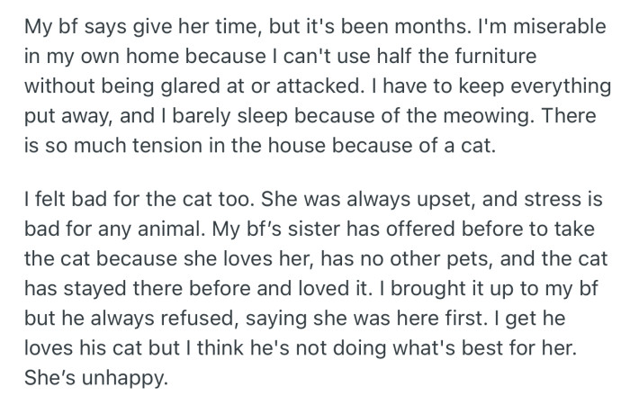 OP suggested they leave the cat with his sister, but he refused