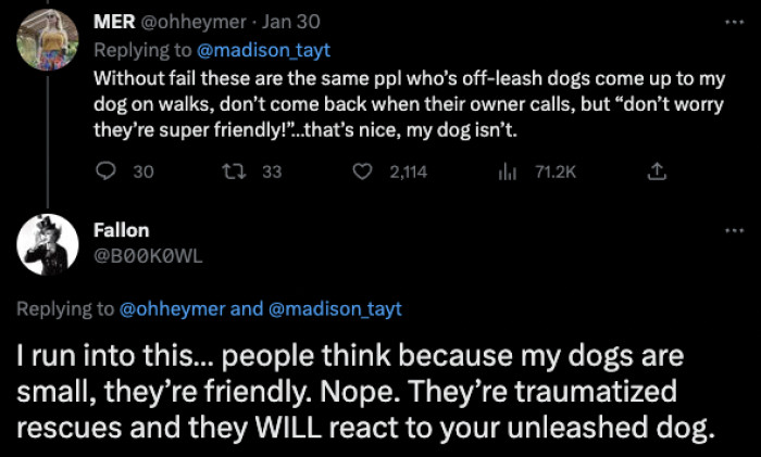 Never assume that all small dogs are friendly.