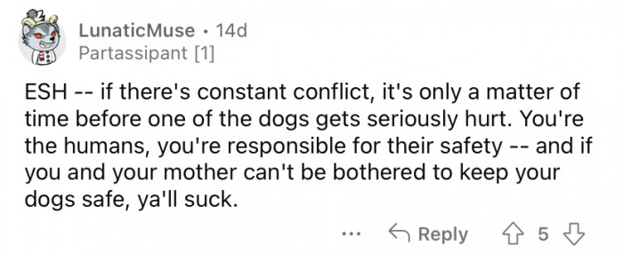 "It's only a matter of time before one of the dogs gets seriously hurt."