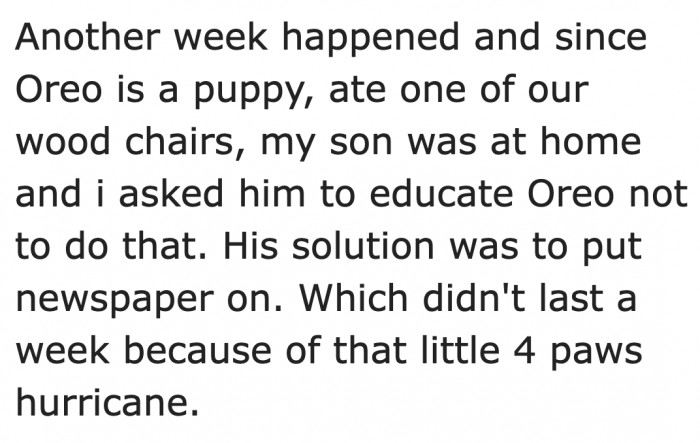 The dog started destroying things at home.