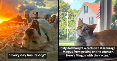 50+ Individual Photos That Share One Heck of an Awesome Story