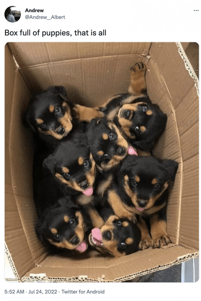 6. This is probably the best present.