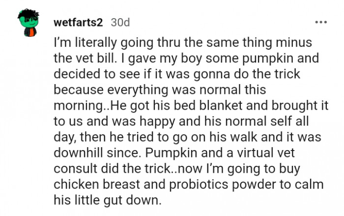 Pumpkin and virtual vet consult did the trick