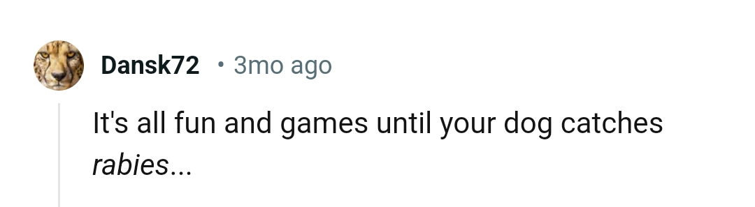 1. It's all fun until...