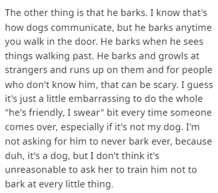 Another issue for OP is the fact that the dog barks a lot, regardless of what's happening